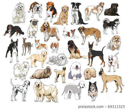 Various types of dog pictorial book 69311325