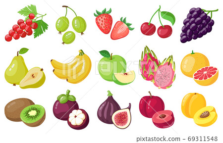 Cartoon fruits. Tropical fruit, banana, fig, apple and dragon fruit, citrus and berries, vegetarian exotic fruits vector illustration icons set 69311548