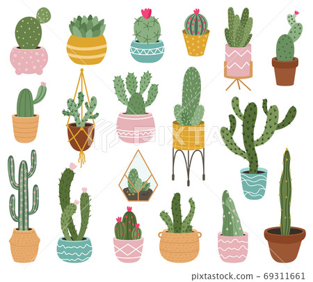 Potted cactus. Cute desert cactus, succulents and aloe in pots, tropical home plants, mexican prickly house potted plants vector illustration set Potted cactus. Cute desert cactus, succulents and aloe in pots, tropical home plants, mexican prickly house potted plants vector illustration set 69311661