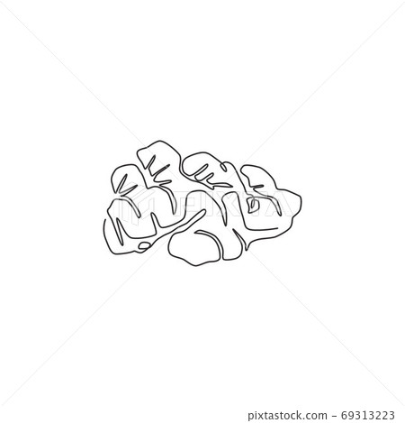 One single line drawing healthy organic ginger for farm logo identity One single line drawing healthy organic ginger for farm logo identity 69313223