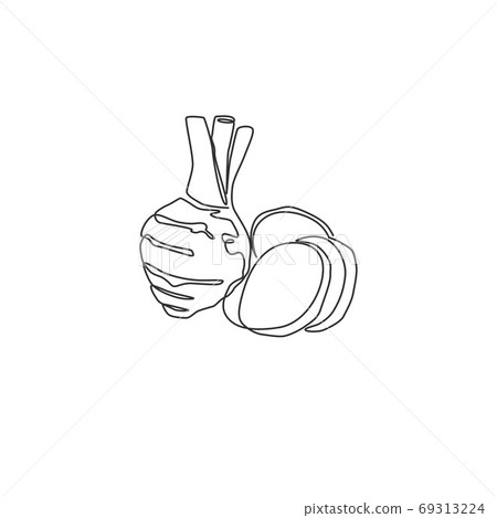 Single continuous line drawing of whole healthy organic taro for farm logo identity Single continuous line drawing of whole healthy organic taro for farm logo identity 69313224