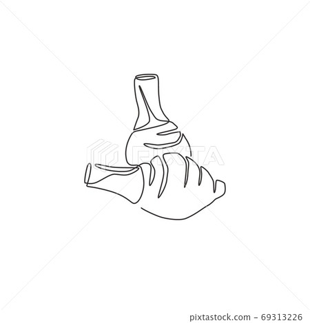 One continuous line drawing of whole healthy organic taro for farm logo identity One continuous line drawing of whole healthy organic taro for farm logo identity 69313226