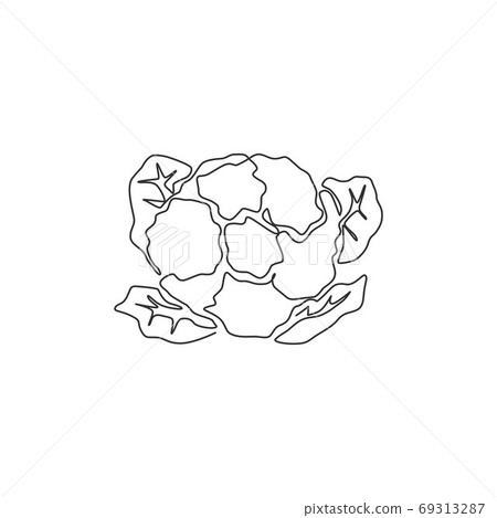 Single continuous line drawing of whole healthy organic cauliflower for farm logo identity 69313287