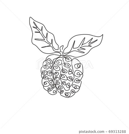 One single line drawing of whole healthy organic noni for orchard logo identity One single line drawing of whole healthy organic noni for orchard logo identity 69313288