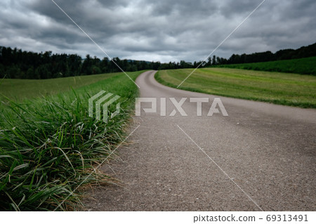An empty country road through the green fields 69313491