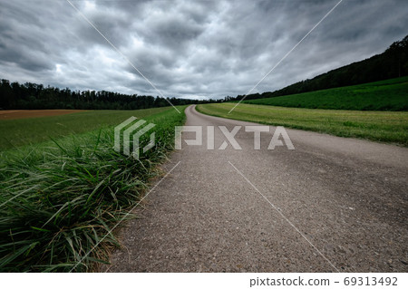 An empty country road through the green fields An empty country road through the green fields 69313492