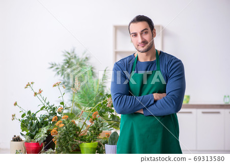 Young male gardener with plants indoors Young male gardener with plants indoors 69313580