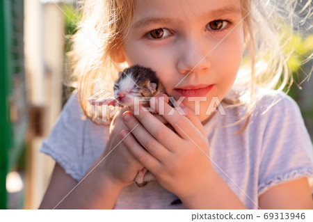 newborn kitten in hands of a little girl. newborn kitten in hands of a little girl. 69313946