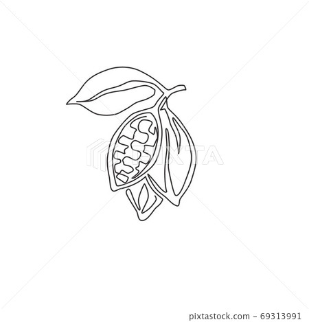 Single continuous line drawing of whole healthy organic cocoa bean for plantation logo identity Single continuous line drawing of whole healthy organic cocoa bean for plantation logo identity 69313991
