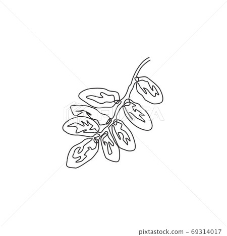 Single continuous line drawing stack healthy organic fruit dates for orchard logo identity Single continuous line drawing stack healthy organic fruit dates for orchard logo identity 69314017