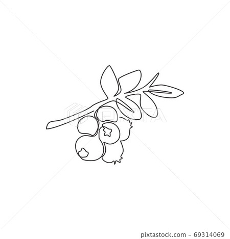 One continuous line drawing of whole healthy organic blueberries for orchard logo identity One continuous line drawing of whole healthy organic blueberries for orchard logo identity 69314069