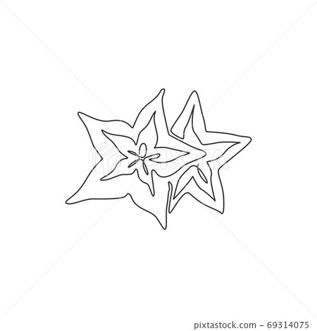 Single continuous line drawing of whole healthy organic starfruit for orchard logo identity 69314075