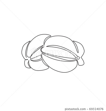 One continuous line drawing of whole healthy organic starfruits for orchard logo identity 69314076