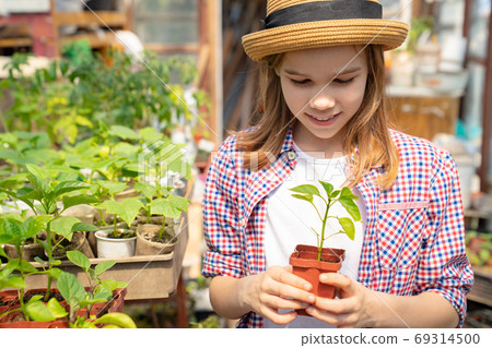 Adorable teen girl kid in hat with seedlings 69314500