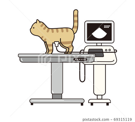 Tea tabby and echo inspection machine Tea tabby and echo inspection machine 69315119