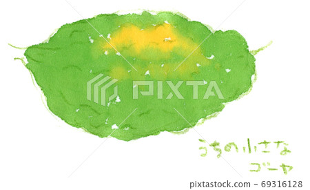 在菜園里長出來的小苦瓜 在菜園里長出來的小苦瓜 69316128