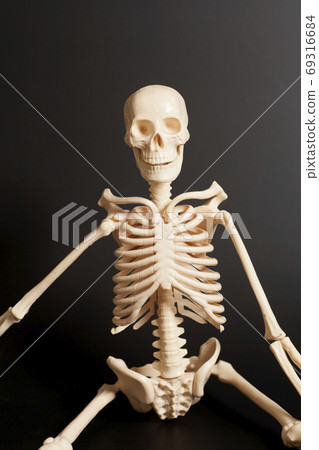 Human skeleton on black background Human skeleton on black background 69316684