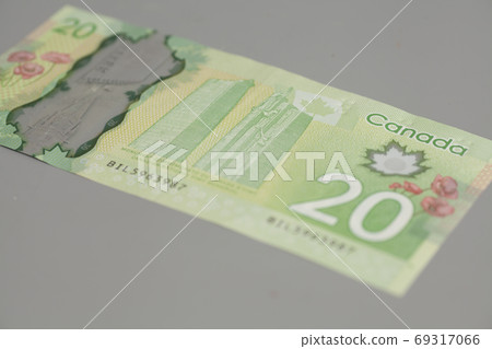 Canadian twenty dollars on gray background 69317066
