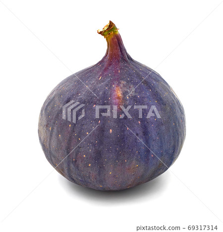 Fresh figs isolated on white background with shadow Fresh figs isolated on white background with shadow 69317314