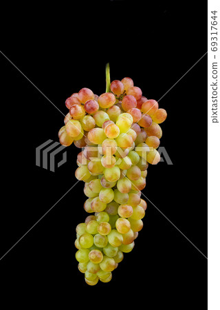 Bunch of sultana grape isolated on black background. Bunch of sultana grape isolated on black background. 69317644