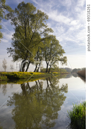 Trees along the Bleeke Kil 69318261