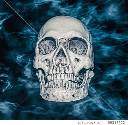 Human plastic skull with fog on a black background Human plastic skull with fog on a black background 69318312
