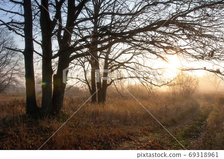 Fall landscape. Late misty morning. 69318961