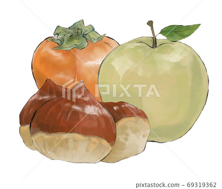 秋天的味道柿子/梨/栗子 秋天的味道柿子/梨/栗子 69319362