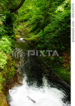Waterfall in the forest 69319579