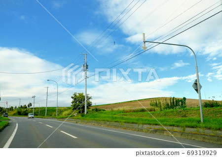 Road full of nature 69319929