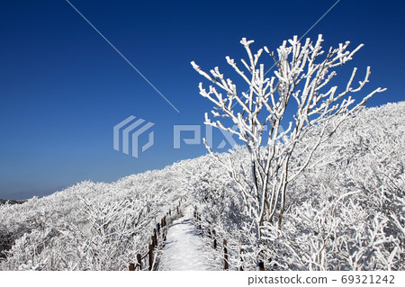 蕎山山的冬天 69321242