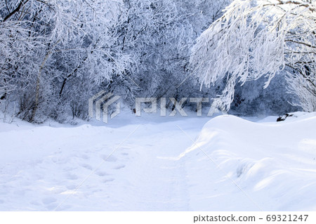 Winter in Sobaeksan Mountain 69321247