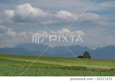 Biei gradation at the end of summer Biei gradation at the end of summer 69321870