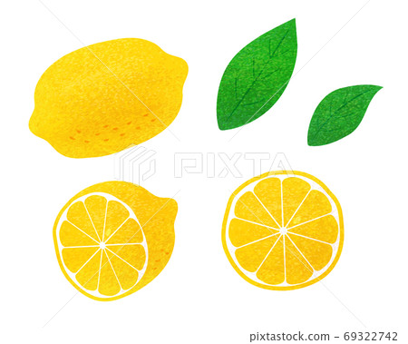 檸檬插圖集素材/模擬風格 69322742