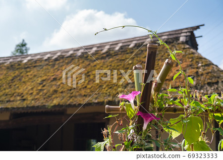 茅草屋頂和朝高 茅草屋頂和朝高 69323333