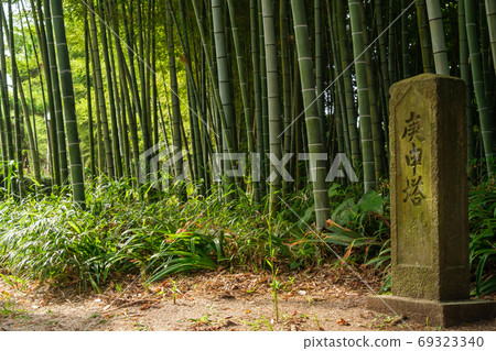 竹林畢業生 竹林畢業生 69323340