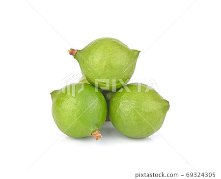 Clouse up of macadamia isolated on white background 69324305
