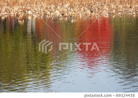 Kokasuga's waterside-2 69324438