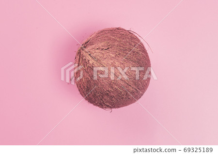 coconut on a pink background isolate, copyspace, layout 69325189