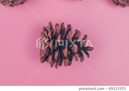 christmas cones on pink background isolate, copyspace, layout 69325355