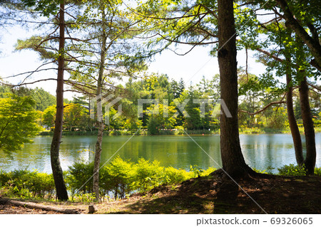 Lakeside in summer Lakeside in summer 69326065