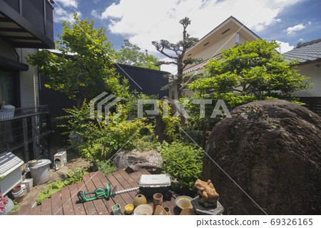 修剪花園樹木 69326165