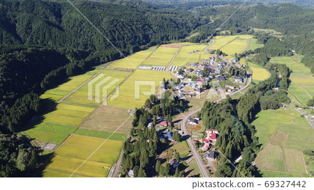 在收穫水稻前的農村風景 69327442