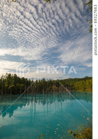 Biei-cho, Hokkaido Blue Pond August 69327663