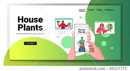 set women taking care of houseplants mix race housewives discussing during video call in web browser windows set women taking care of houseplants mix race housewives discussing during video call in web browser windows 69327775