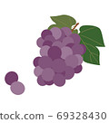 Grapes 69328430