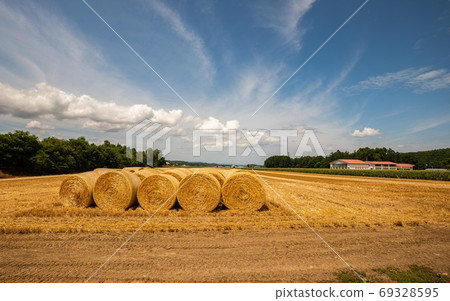 Biei-cho, Hokkaido, barley roll, August Biei-cho, Hokkaido, barley roll, August 69328595
