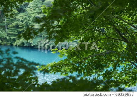Goshikinuma Lakes in Urabandai, Fukushima in Summer Goshikinuma Lakes in Urabandai, Fukushima in Summer 69329653