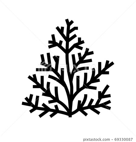 cedar plant aromatherapy line icon vector isolated illustration cedar plant aromatherapy line icon vector isolated illustration 69330087