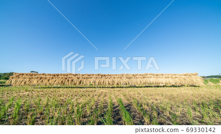 Scenery of rice field after harvesting Scenery of rice field after harvesting 69330142